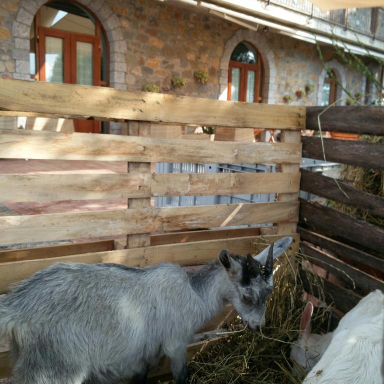 Agriturismo Prisco Villa San Mauro la Bruca Bagian luar foto